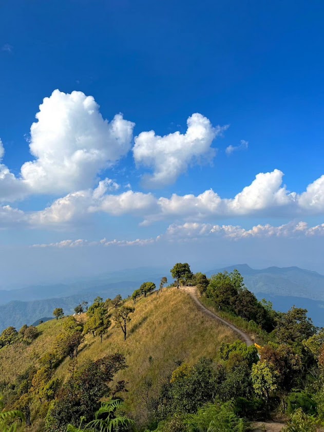 Two-Day Trek at Doi Pha Ngam, trek at doi phan gam, trekking at doi phan gam, 2 days trek at doi phan gam, chiang mai trekking, trekking in chiang mai