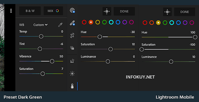 COLOR & MIX - Rumus Lightroom Dark Green