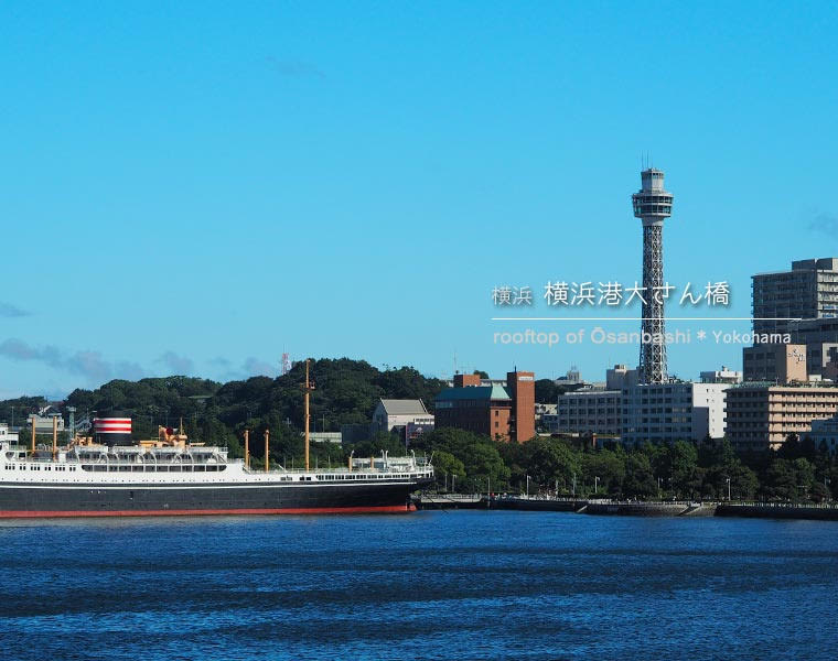 横浜･大さん橋のくじらのせなか