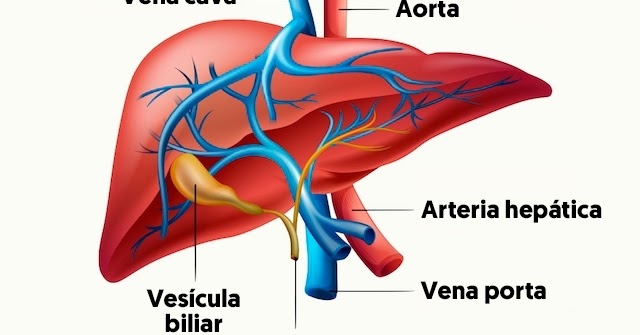 Avances de la ciencia