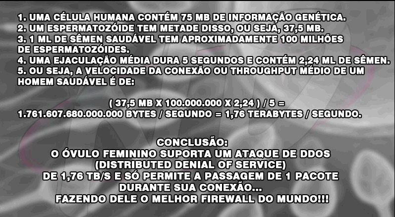 Melhor firewall do mundo