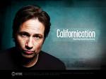 Californication un culto a lo cotidiano