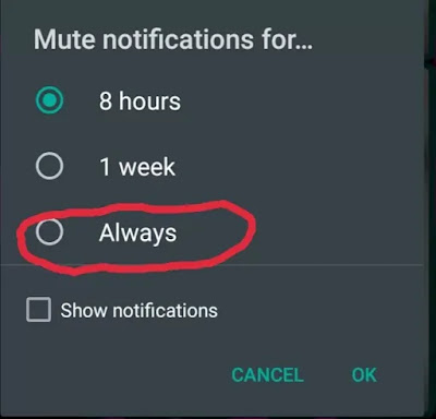 WhatsApp launches a new setting in WhatsApp