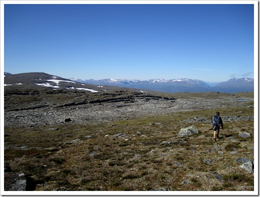 Landskapet är helt annorlunda på den här sidan.