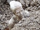 Find out! Hermit emerges from the soil (more than 100 years)