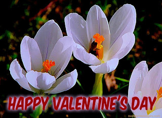 happy valentines day images