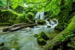Is-consistency-and-assertiveness-are-the-best-way-to-results