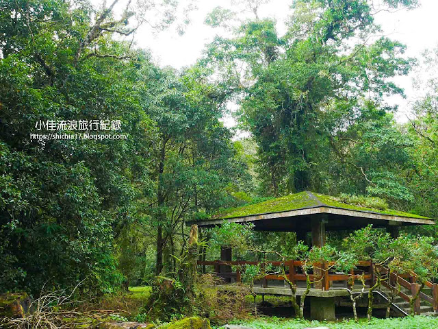 福山植物園涼亭