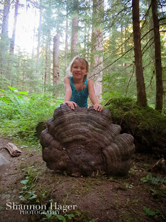 Shannon Hager Photography, Forest Portraits