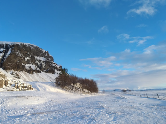 Dverghamrar Islandia Południowa