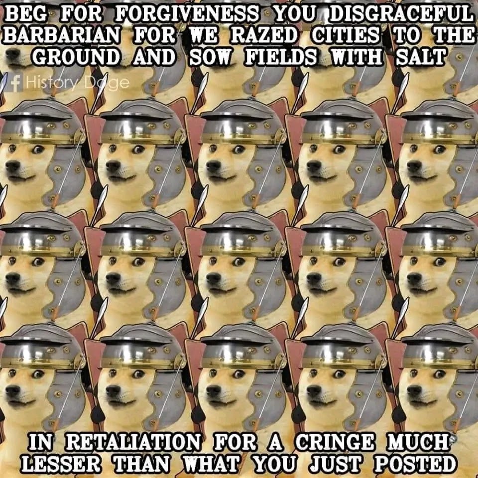 Doge memes in english