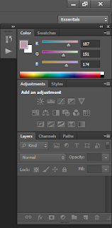 Photoshop Tools Palette, colour palette in Photoshop ,Adobe Photoshop Palette