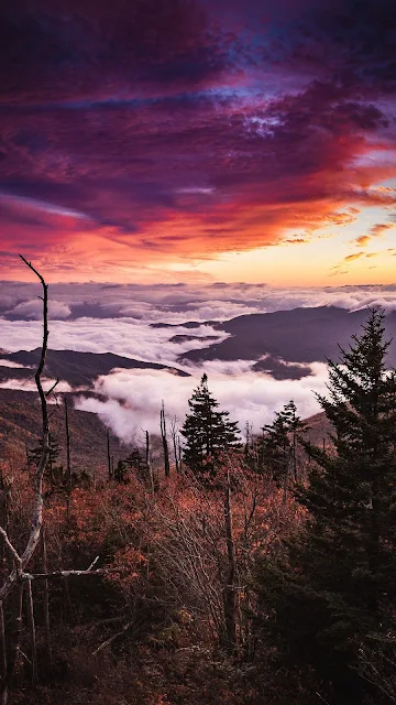 Plano de Fundo Linda Paisagem Crepúsculo do Pôr do Sol