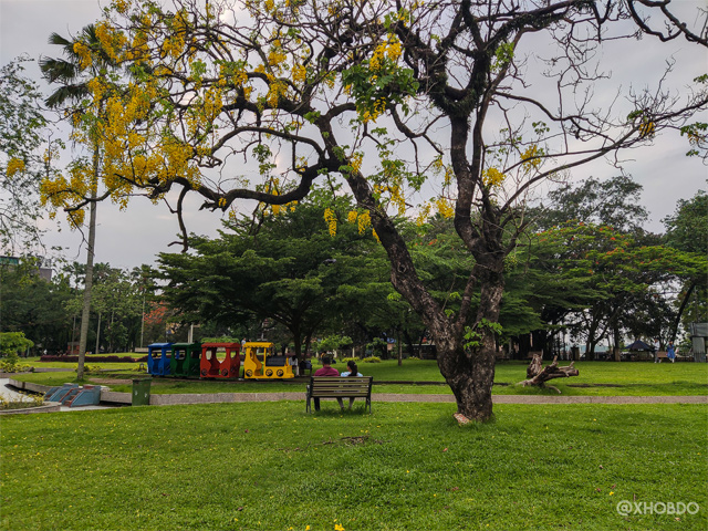 Couple sitting on a bench under Amaltas (Golden shower tree) in Nehru Park-Guwahati-Assam Nehru Park, Amaltas, nature, park, guwahati, assam, xhobdo, Golden shower tree, awesome assam, rupam sarma