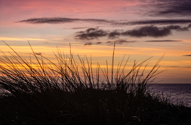 Photo of colourful sky through grasses at Maryport