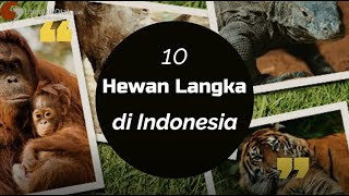 Daftar JeniDaftar Jenis hewan yang dilindungi di indonesias hewan yang dilindungi di indonesia