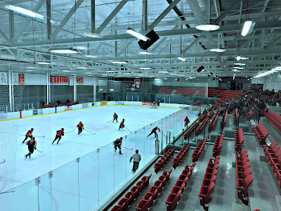 January 14, 2018, Walking at the track and enjoying the hockey game at the same time.