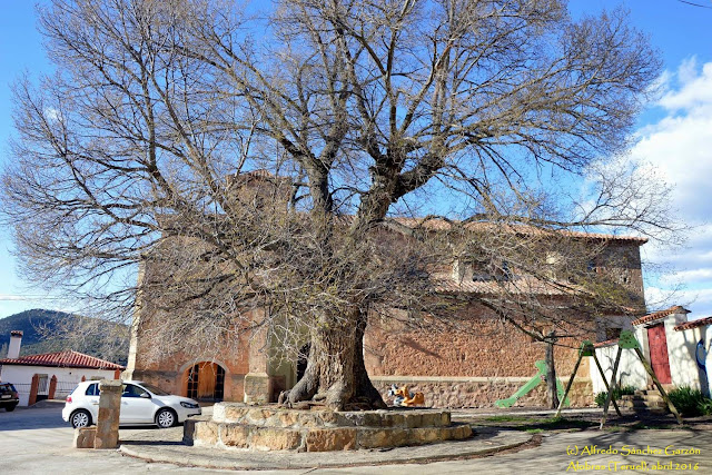 alobras-teruel-iglesia-parroquial-olmo-plaza