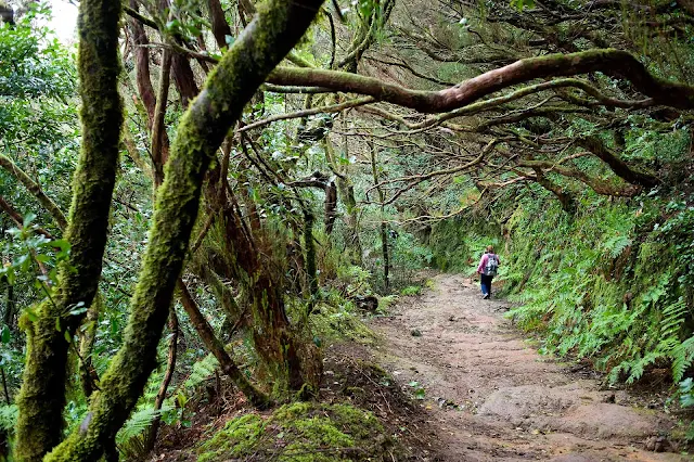 se pierde una familia en el parque rural de anaga tenerife