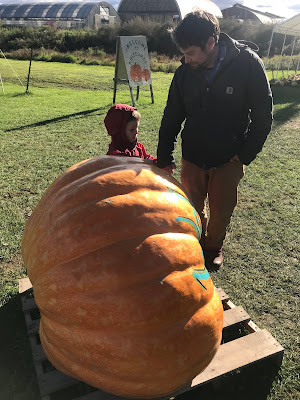 boy with a big pumpkin