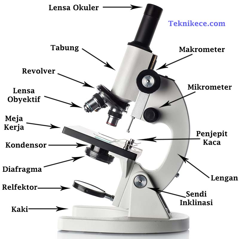 gambar mikroskop cahaya beserta bagian bagiannya