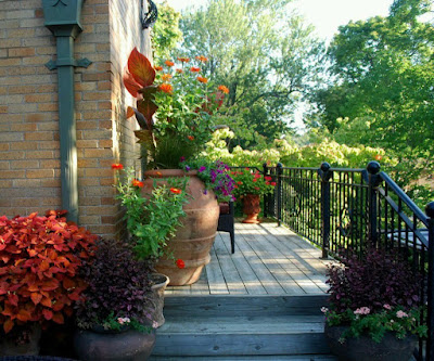 Garden on the Front Steps of the House