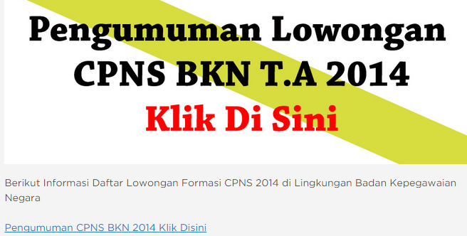 Pengumuman Hasil Seleksi Tes CPNS BKN 2014