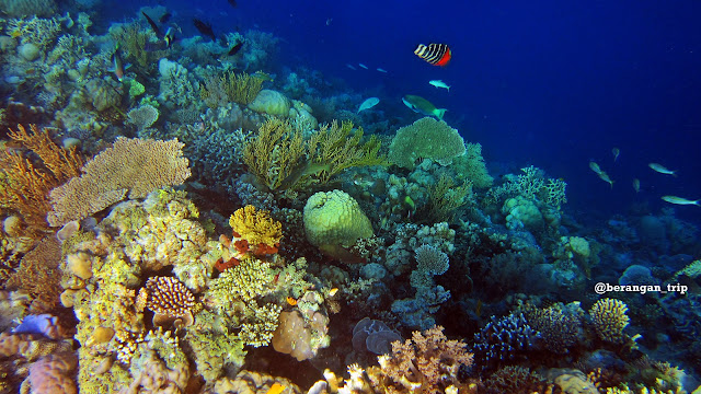 Nikmati Wisata Laut di Taman Laut Takabonerate