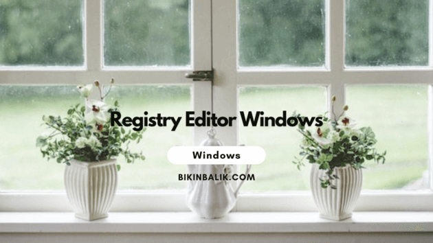 Registry Editor Windows