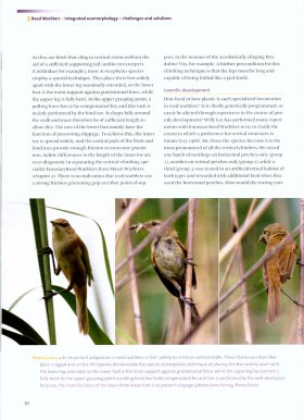 The Birdbooker Report June 2012