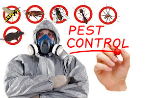 Pest Control Services 