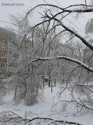 Ледяной дождь во Владивостоке и Приморье