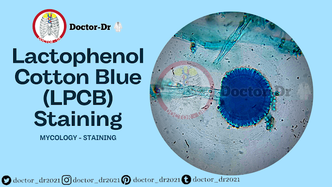 Lactophenol Cotton Blue (LPCB) Staining by Doctor-dr