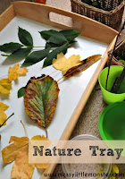 Playing with nature for toddlers and preschoolers. Set up a simple nature table/ tray this Autumn/ Fall. 