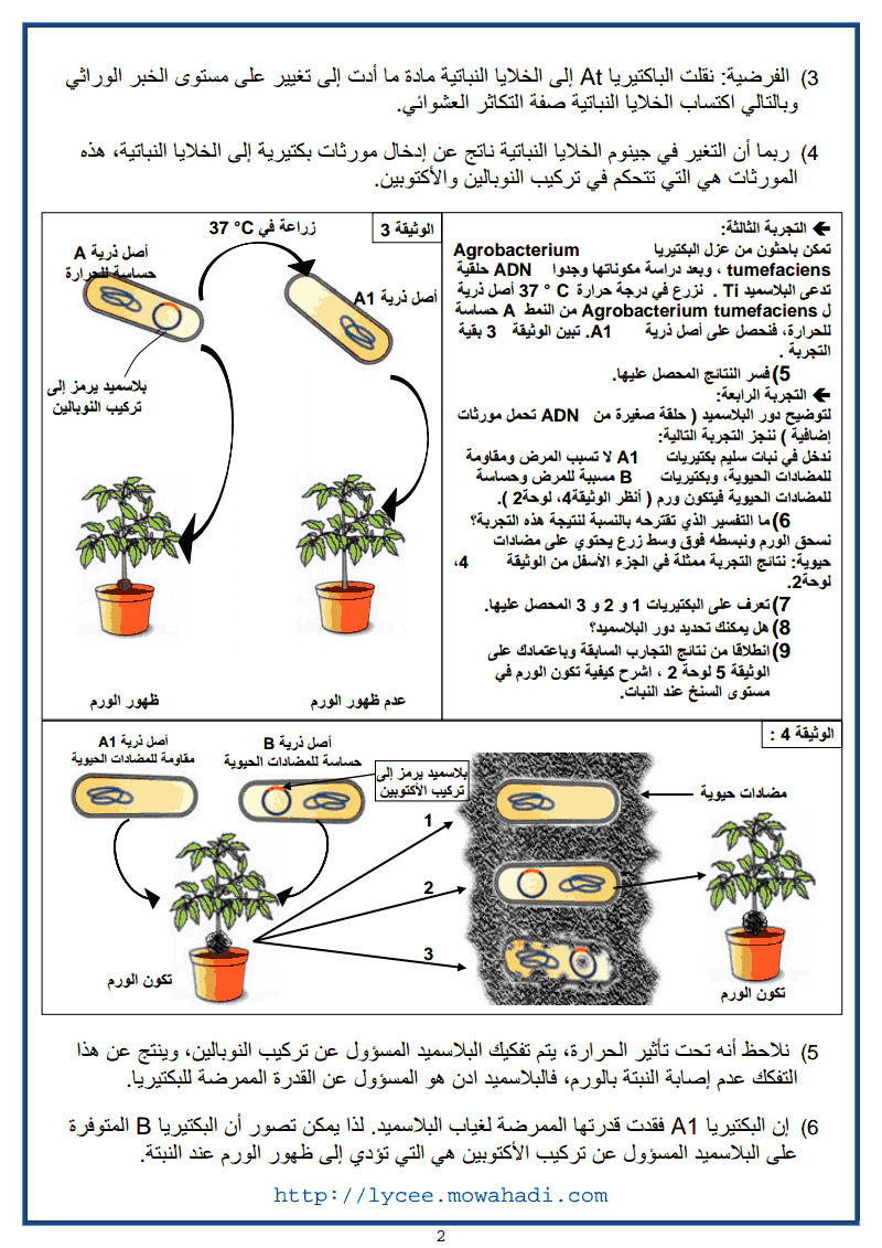  الهندسة الوراثية : مبادئها و تقنياتها -