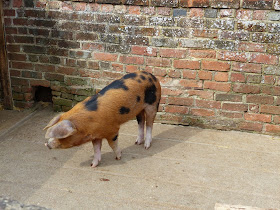 Ferme où a grandi Marigold Downton Abbey