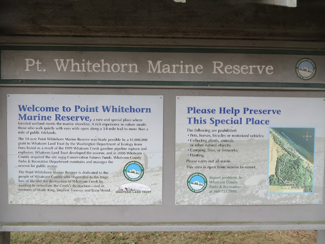 Point Whitehorn Marine Reserve