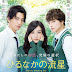 Review Film Jepang, Hirunaka No Ryuusei (Daytime Shooting Star)