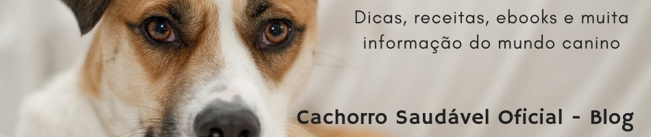 Cachorro Saudável Oficial - Blog