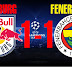 Salzburg 1-1 Fenerbahçe Maçının Golleri Özeti İzle ( 31.07.2013 Salzburg 1-1 Fb Golleri İzle )