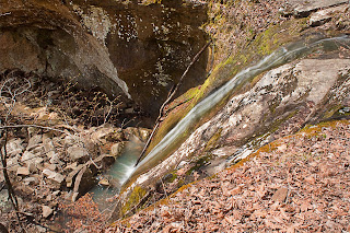 Photograph near Kings Bluff Falls