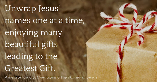 Unwrapping the Names of Jesus is an Advent devotional for women who want more from the season than holiday parties, hors d'oeuvres, and a new leather purse. You want a deeper walk with Jesus. You want to know Him and touch Him. You want to find rest in Him and talk with Him.