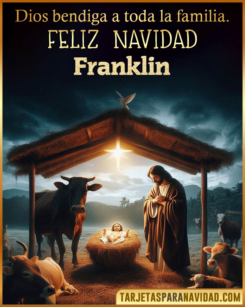 Feliz Navidad Franklin