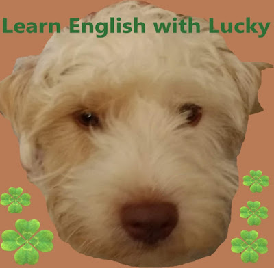  Learn English with Lucky