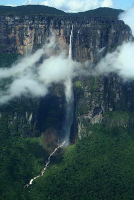 Angel Falls Water Fall Picture