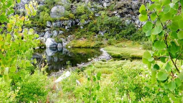 DSCN0714