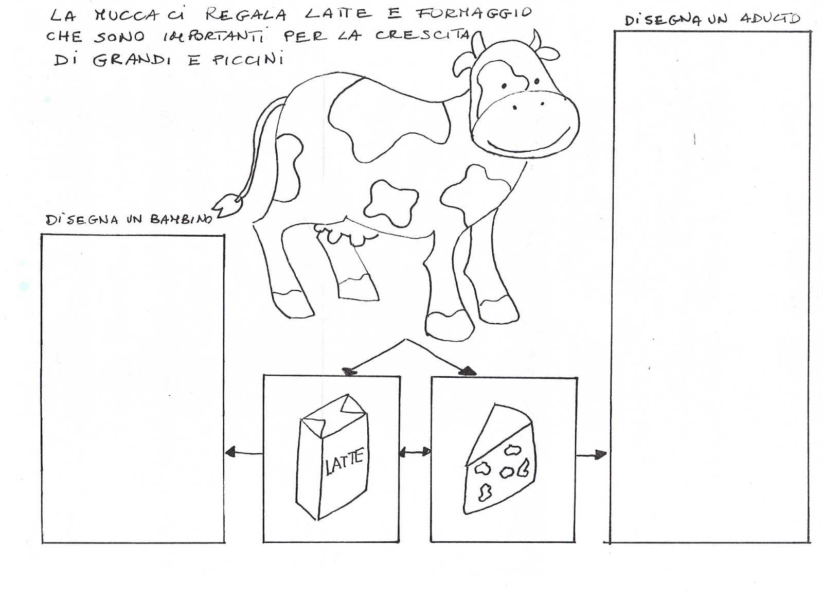 A SCUOLA FACCIAMO IL FORMAGGIO CON IL LATTE DI PECORA E LO MANGIAMO