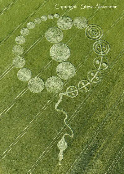 Indonesia Crop Circle. Tesla Crop Circle - There has