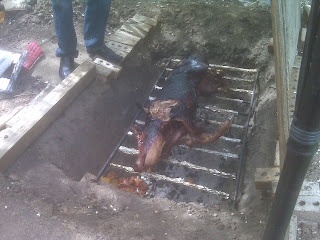 Bday Pig Roast