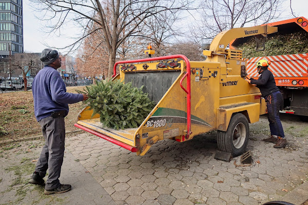 Park workers rev up the wood chipper.